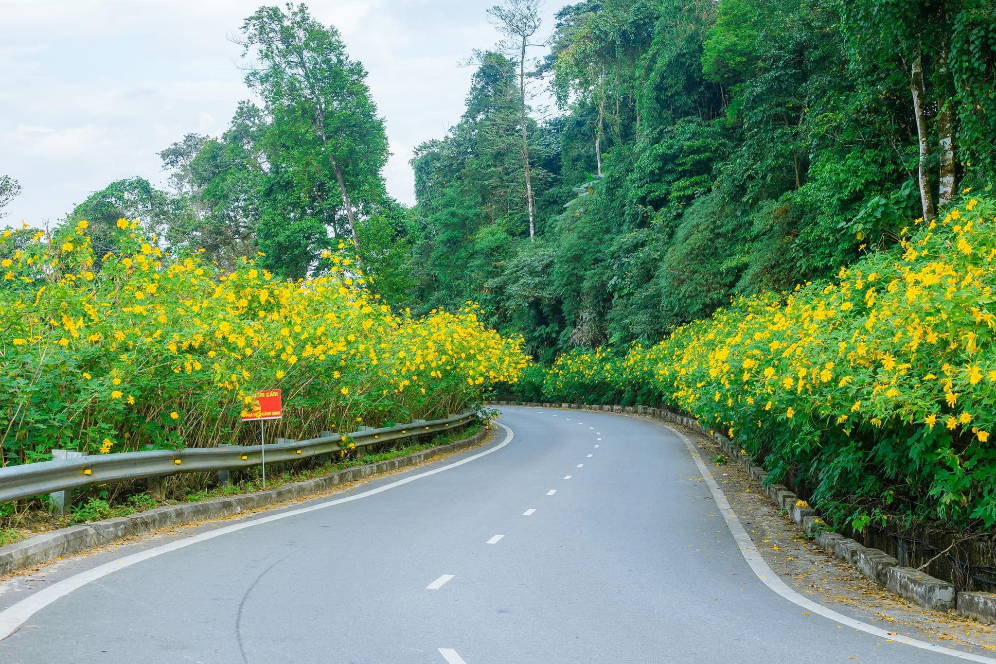 Capture the golden beauty of Hanoi’s natural gem